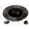 Brake disk with bearing