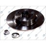 Brake disk with bearing