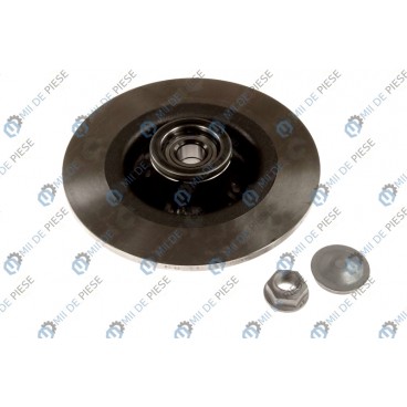 Brake disk with bearing