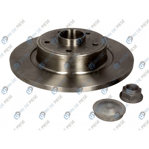 Brake disk with bearing