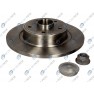 Brake disk with bearing