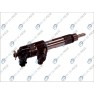 Injector electromagnetic CR