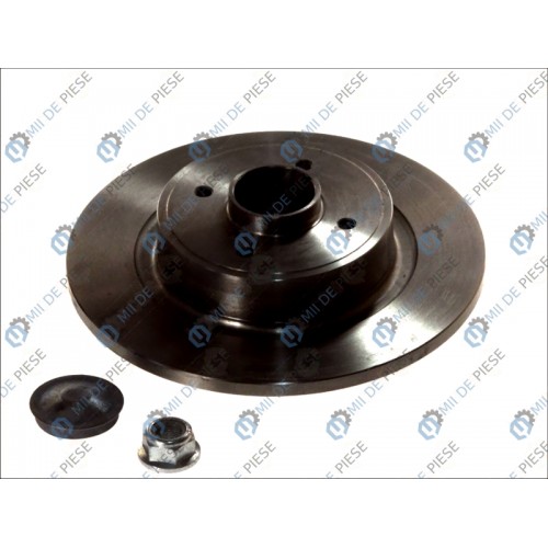 Brake disk with bearing