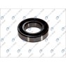 Standard ball bearing