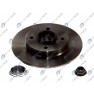 Brake disk with bearing