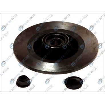 Brake disk with bearing