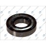 Standard ball bearing