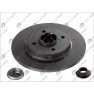 Brake disk with bearing