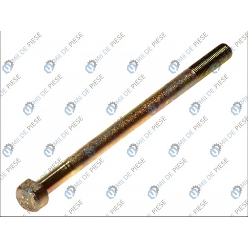 Leaf spring fixing bolt