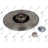 Brake disk with bearing