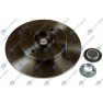 Brake disk with bearing