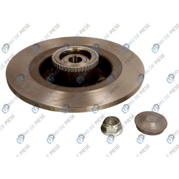 Brake disk with bearing