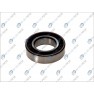 Standard ball bearing