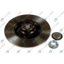 Brake disk with bearing