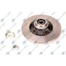 Brake disk with bearing