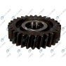 Pinion diferential