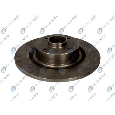 Brake disk with bearing