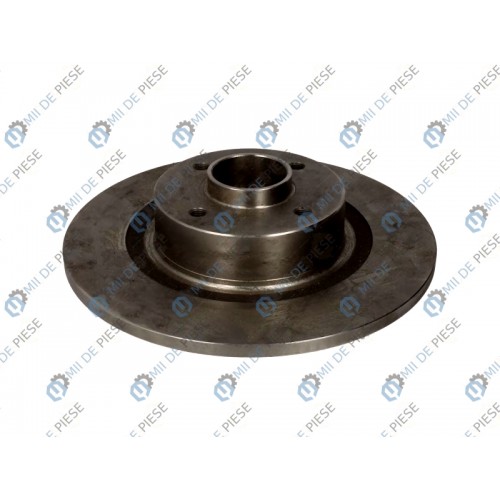 Brake disk with bearing