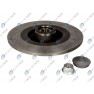 Brake disk with bearing