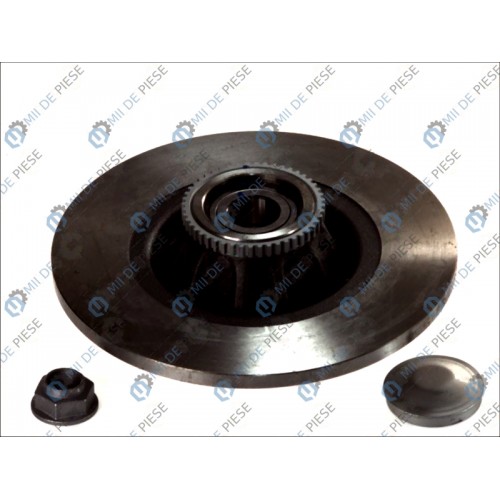 Brake disk with bearing