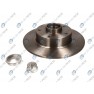 Brake disk with bearing