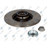 Brake disk with bearing