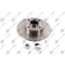 Brake disk with bearing