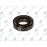 Standard ball bearing