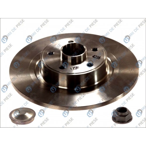 Brake disk with bearing