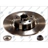 Brake disk with bearing