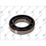 Standard ball bearing