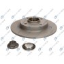 Brake disk with bearing