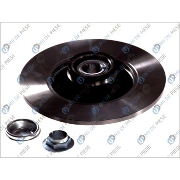 Brake disk with bearing