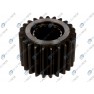 Pinion diferential