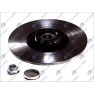 Brake disk with bearing