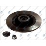 Brake disk with bearing