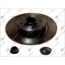 Brake disk with bearing