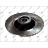 Brake disk with bearing