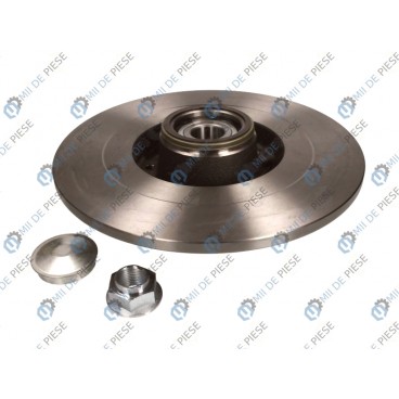 Brake disk with bearing