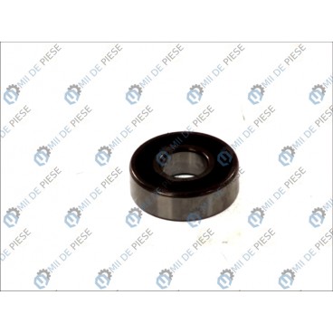 Standard ball bearing